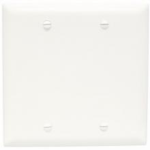 Legrand-Pass & Seymour TP23W - TRADEMASTER PLT 2G BLANK BOX MOUNT W