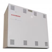 Cooper Lighting Solutions INV600CA - INVERTER,600 WATT,PB BAT,SURFACE,CEC