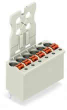 WAGO 2091-1162/000-1000 - FE1.0mm Østrgrpplt 1.5mm 3.5mm 12Pl 150mm LtGRA